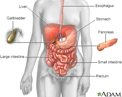 gallbladder pain referral. A lower GI test may be